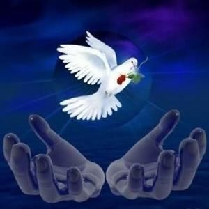 Meet your Posher, Rony